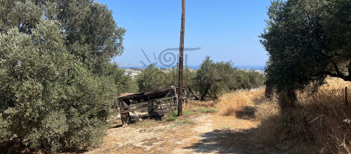 property first image