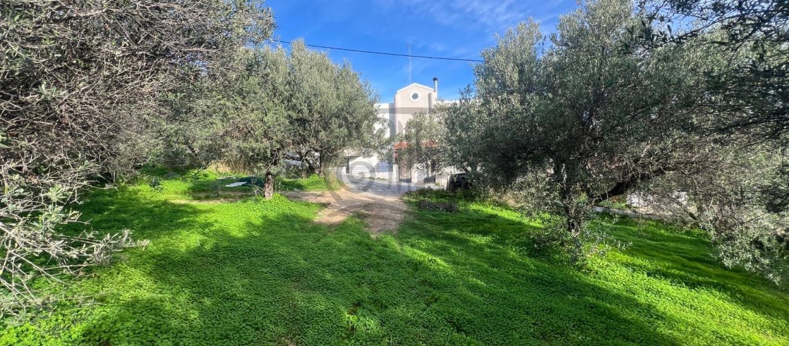 property first image