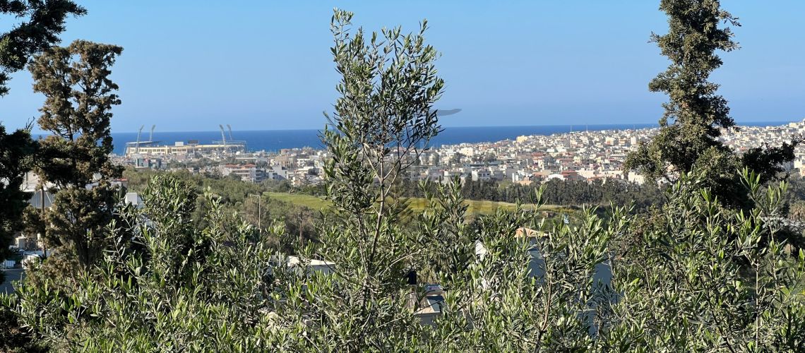 property first image