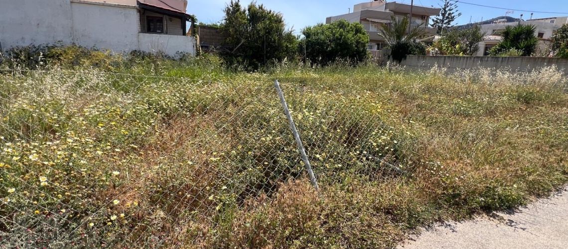 property first image