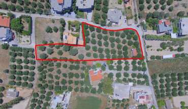 property 6290