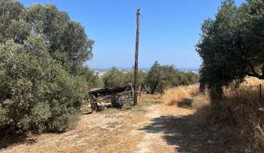 property 6296