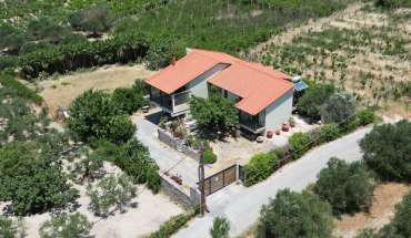 property 6335