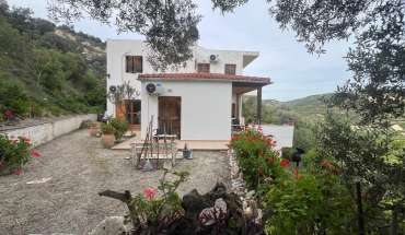 property 6326